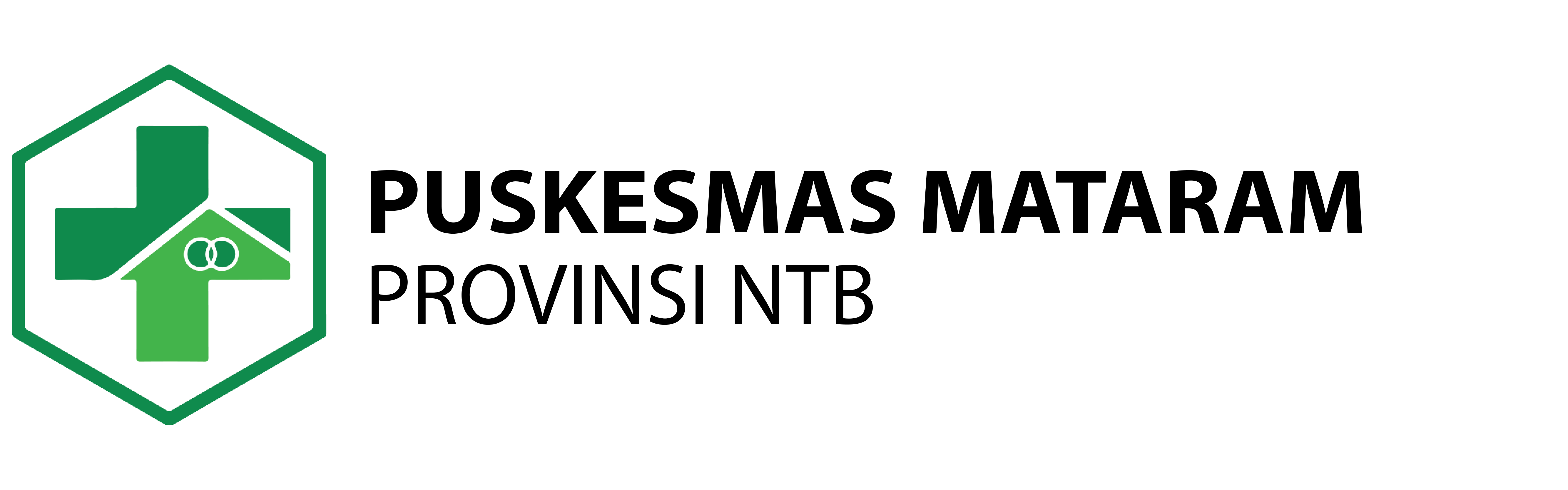 Logo Puskesmas